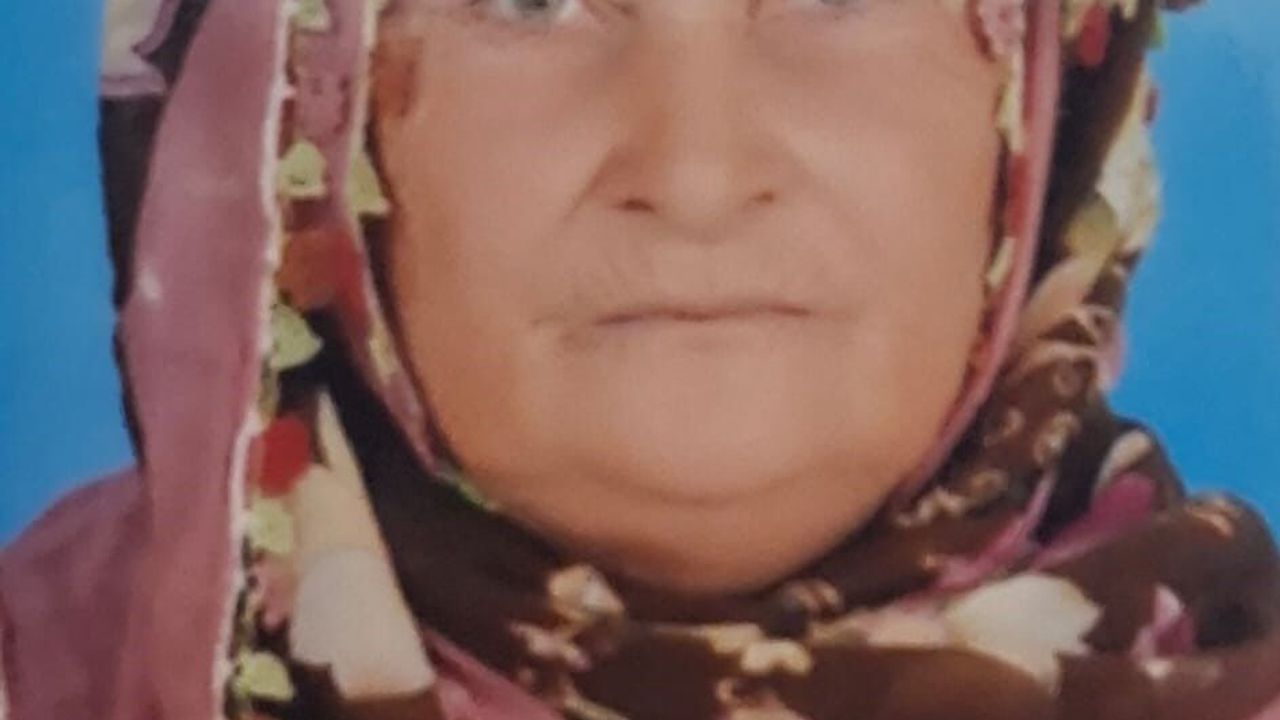 Arazide cansız