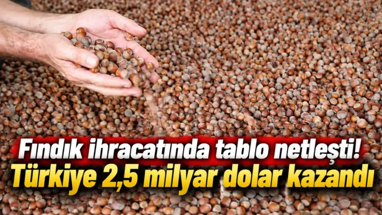 fındık ihracatı