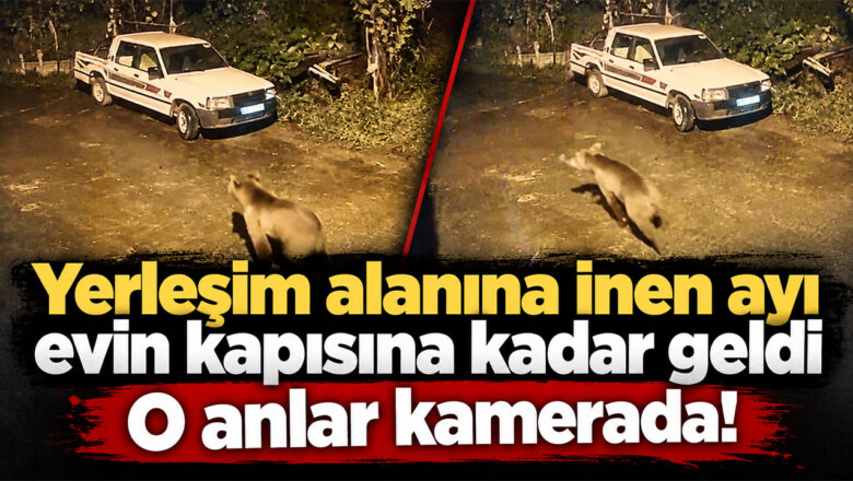 Arhavi