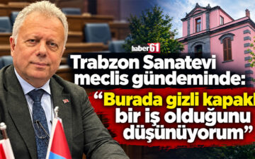 Sanatevi tahliyesi