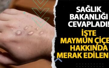 M çiçeği