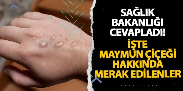 M çiçeği