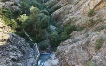Ayı Hamamı