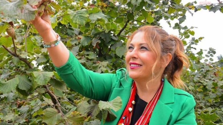 fındık fiyatı