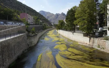 Harşit Çayı kirliliği