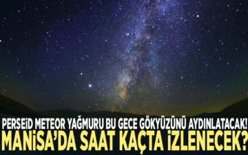 Perseid Meteor Yağmuru