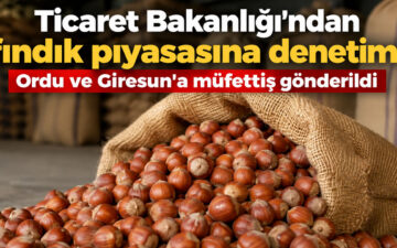 fındık piyasası